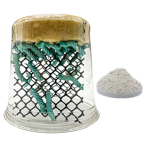 Premium Hornworm Habitat - 26-35+ Count per Cup | Nutrient-Rich Feed for Bearded Dragons, Geckos & Other Reptiles | Free 1oz Powdered Chow Included