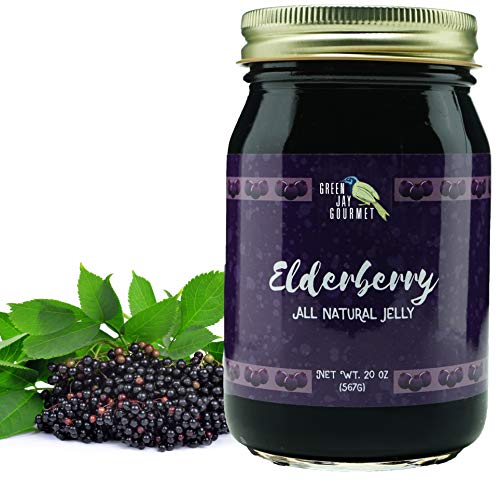Green Jay Gourmet Elderberry Jelly – All-Natural Jam with Elderberries & Lemon Juice – Vegan, Gluten-free Jam - Contains No Preservatives or Corn Syrup – Made in USA Elderberry Jam – 20 Ounces