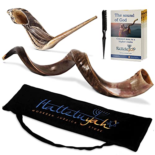 HalleluYAH 28'-32' Yemenite kudu Shofar From Israel Plus Free Bonus Ram Horn