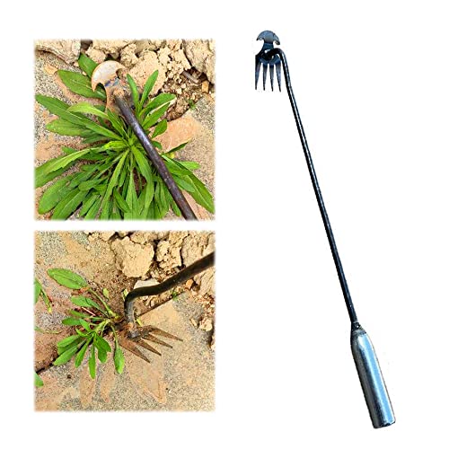 2023 New Weeding Artifact Uprooting Weeding Tool, Manganese Steel Forged Weed Puller 4 Teeth Dual Purpose Weeder, High Strength Hand Remover Tool for Garden (B)