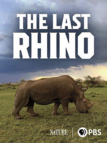 The Last Rhino
