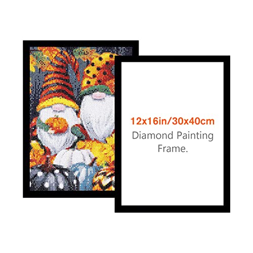 NAIMOER Diamond Art Frames 1Pack, Frames for 12x16in/30x40cm Diamond Art Canvas, Diamond Art Accessories Frame Self-Adhesive, Frames for Wall Window Door Black (Internal size 25x35cm) Black