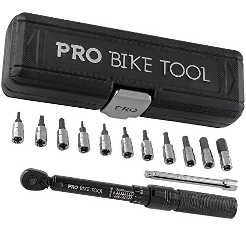 PRO BIKE TOOL Click Bicycle Torque Wrench Set, 2-20 Nm - Includes Storage Box, Allen & Torx Sockets, Extension Bar