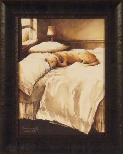 Home Cabin Décor A Dog's Life by John Rossini 17x21 Yellow Lab Labrador Dog Sleeping On Bed Framed Art Print Picture