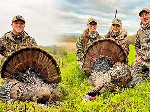 4 Longbeards Down in 3 Different States