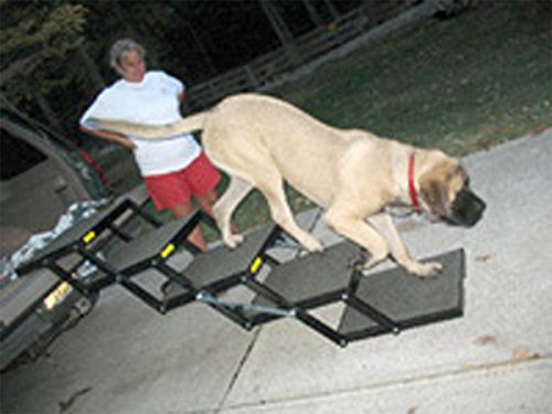 Pet Loader XL 18' Platform, USA ABS, 5-Step Portable Folding Dog Steps, Made in USA Carpeted, Great for Giant Breeds, All Dogs. add or Remove Steps, Safely Carries 300 Pound Pets, Lasts a Lifetime