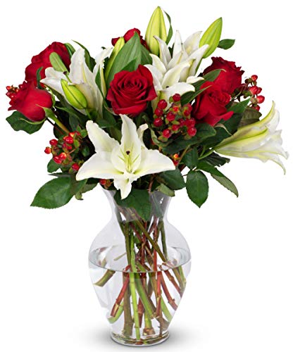 BENCHMARK BOUQUETS - Red Elegance (Glass Vase Included), Prime Next-Day Delivery, Gift Mother’s Day Fresh Flowers