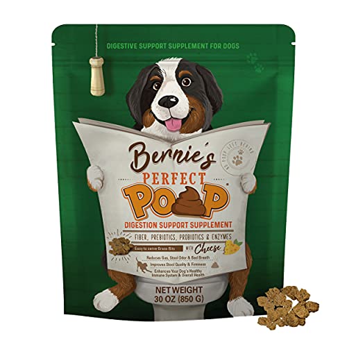 Perfect Poop Digestion & General Health Supplement for Dogs: Fiber, Prebiotics, Probiotics & Enzymes Relieves Digestive Conditions, Optimizes Stool, and Improves Health (Cheddar Cheese, 30.0)