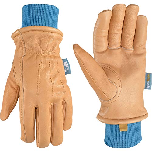 Wells Lamont Women's Warm HydraHyde Water-Resistant Grain Leather Winter Gloves, Large (1085L)