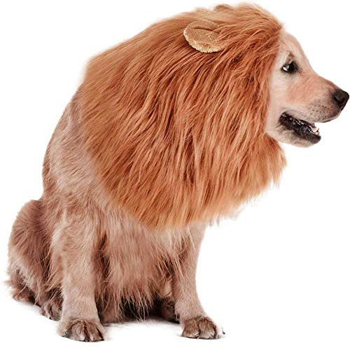 RWM Dog Lion Mane Costume - Pet Wig Clothes for Halloween Party - Lion Wig for Medium to Large Sized Dogs Lion Mane Funny Dogs