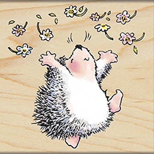 Penny Black 297143 Hedgehog Joy Mounted Rubber Stamp, 3.5 by 3.5-Inch