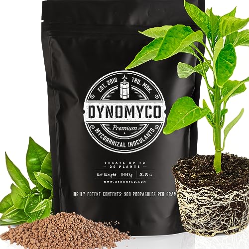 Mycorrhizal Inoculant by DYNOMYCO – High Performing Strains – Concentrated Formula – Improves Nutrient Uptake – Increases Plant Yields Enhances Resilience to Stress Saves Fertilizer (100 g / 3.5 oz)