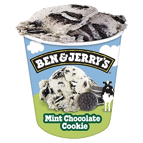 Ben & Jerry's Mint Chocolate Cookie Peppermint Ice Cream Pint Non-GMO 16 oz