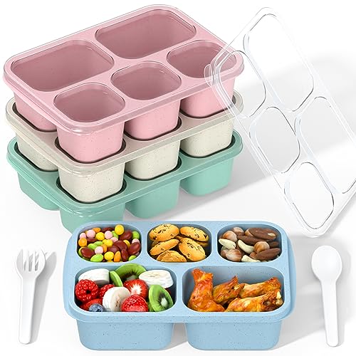 Bento Box Adult Lunch Box - 4 Pack, 5 - Compartment Meal Prep Container for Kids, Reusable Food Storage Snack Containers - Stackable for School, Work, and Travel (Wheat(Green/Blue/Pink/Beige))