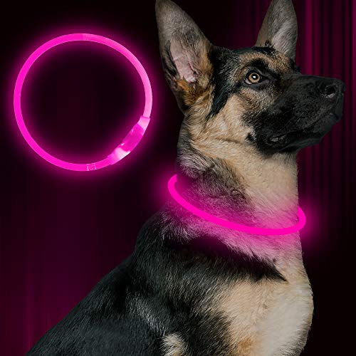 BSeen LED Pet Collar, USB Rechargeable, Glowing for Night Safety, Fashion Light up Collar for Small Medium Large Dogs (Pink)