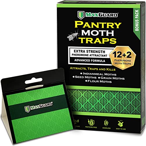 MAXGUARD Pantry Moth Traps (12 Pack +2 Free) with Extra Strength Pheromones | Non-Toxic Sticky Glue Trap for Food and Cupboard Moths in Your Kitchen | Trap and Kill Seed Grain Flour Meal Moths |