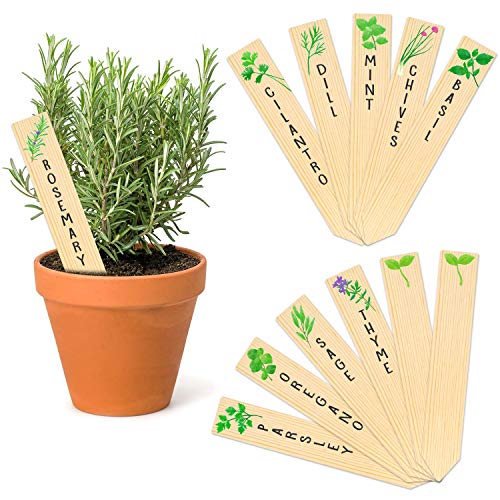 Huray Rayho 12PCS Wooden Indoor Herb Plant Labels Sign Plant Lover Gifts Plant Markers Planted Assorted Indoor Garden Stakes Garden Gifts Garden Signs Garden Markers Re-Usable Plant Tags