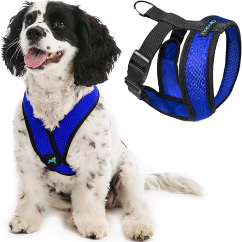 Gooby Comfort X Head In Harness - Blue, Medium - No Pull Small Dog Harness, Patented Choke-Free X Frame - Perfect on the Go Dog Harness for Medium Dogs No Pull or Small Dogs for Indoor and Outdoor Use