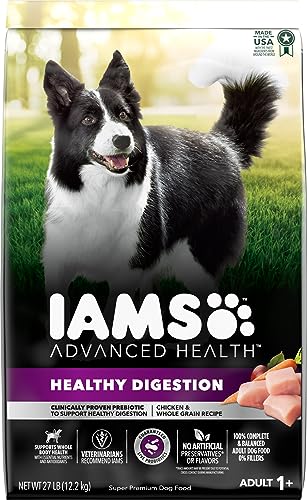 IAMS Advanced Health Adult Healthy Digestion Dry Dog Food with Real Chicken, 27 lb. Bag, Other, 432.00 Fl Oz (Pack of 1)