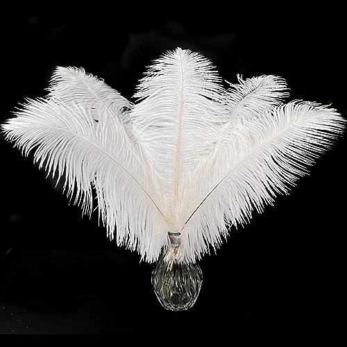 Piokio 20 pcs White Ostrich Feathers Plumes 10-12 inch(25-30 cm) Bulk for DIY Clothing and Accessories, Wedding Party Centerpieces, Gatsby Decorations