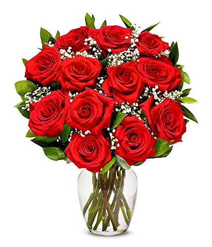 From You Flowers - One Dozen Long Stemmed Red Roses with Glass Vase (Fresh Flowers) Birthday, Anniversary, Get Well, Sympathy, Congratulations, Thank You