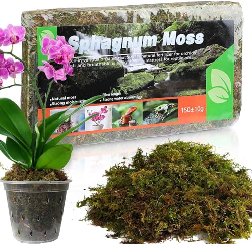 Doter Dried Forest Moss for Plants (5 qt / 1 Pack), Sphagnum Potting Moss for Various Plants, Including Orchids, Carnivorous Plants, Succulents, Garden Flowers, and Reptiles