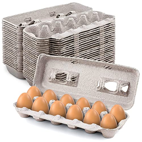 MT Products Blank Natural Pulp Egg Cartons Bulk Holds Up to Twelve Eggs - 1 Dozen - Strong Sturdy Egg Crate Cardboard Material Perfect For Storing Extra Eggs (25 Pieces) - Made in the USA