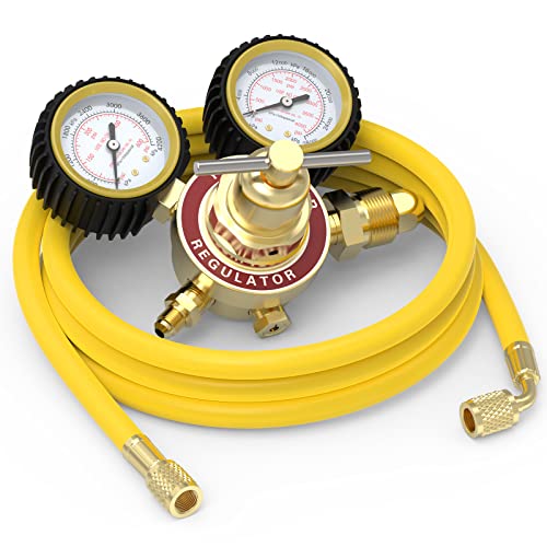 YESWELDER Nitrogen Regulator with Hose,0-600 PSI and 0-4000PSI Output Pressure,CGA580 Inlet Connection and 1/4' male flare fitting