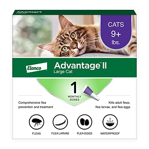 Advantage II Large Cat Vet-Recommended Flea Treatment & Prevention | Cats Over 9 lbs. | 1-Month Supply