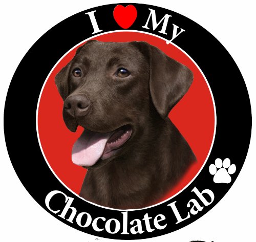 'I Love My Chocolate Lab' Car Magnet With Realistic Looking Chocolate Lab Photograph In The Center Covered in UV Gloss For Weather and Fading Protection Circle Shaped Magnet Measures 5.25' Diameter