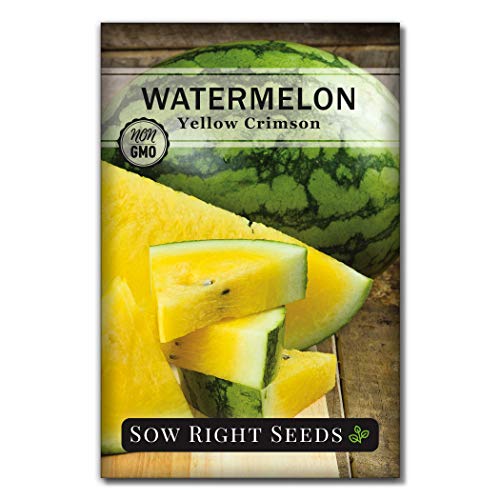 Sow Right Seeds - Yellow Crimson Sweet Watermelon Seed for Planting - Non-GMO Heirloom Packet with Instructions to Plant a Home Vegetable Garden - Rare Yellow Flesh Melon with Sweet Flavor (1)