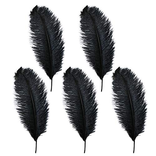 Rgontar 10-12 inches Black Ostrich Feather,Large Natural Ostrich,Plumas para Decoraciones for Home Decor Party Wedding Decorations, Pack of 5 (Black)