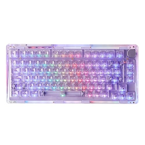 KiiBoom Phantom 81 V2 75% Hot Swappable Upgraded Crystal Gasket-Mounted Mechanical Keyboard, Triple Mode NKRO Gaming Keyboard with South-Facing RGB, Clear Keycaps, 4000mAh Battery for Win/Mac (Purple
