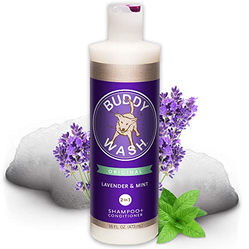 Buddy Wash 2-in-1 Dog Shampoo and Conditioner for Dog Grooming, Lavender & Mint, 16 oz. Bottle