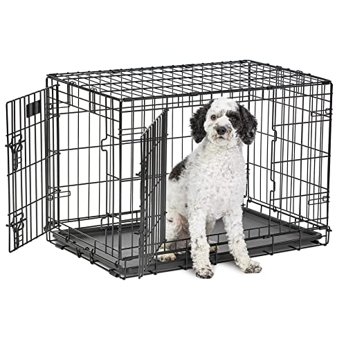 Medium Dog Crate | MidWest Life Stages 30' Double Door Folding Metal Dog Breed Crate | Divider Panel, Floor Protecting Feet & Dog Pan | 30.6L x 19.3W x 21.4H Inches