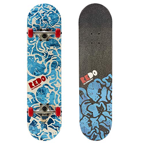 List of Top 10 Best pop lite skateboards in Detail
