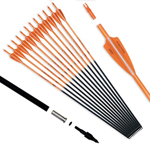 Pointdo 30inch Carbon Arrow Fluorescence Color Targeting and Practice and Hunting Arrows for Compound Bow and Recurve Bow with Removable Tips(Pack of 12) (Fluorescein Orange)