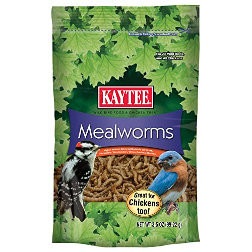 Kaytee Wild Bird Food Mealworms For Bluebirds, Wrens, Robins, Chickadees, Woodpeckers, Cardinals & Chickens, 3.5 Ounce