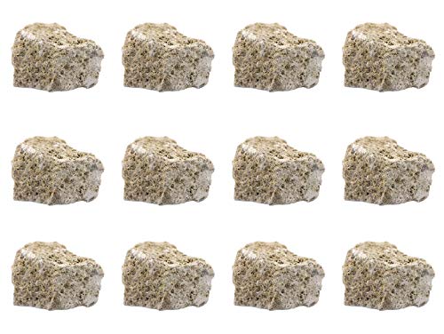 EISCO 12PK Raw Fossiliferous Limestone, Sedimentary Rock Specimens - Approx. 1' - Geologist Selected & Hand Processed - Great for Science Classrooms - Class Pack