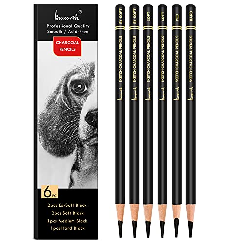 Brusarth Professional Charcoal Pencils Drawing Set - 6 Pieces Soft Medium and Hard Charcoal Pencils for Drawing, Sketching, Shading