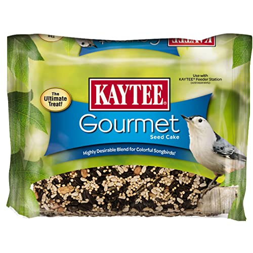 Kaytee Wild Bird Gourmet Seed Cake For Cardinals, Chickadees, Juncos, Titmice, Woodpeckers and More, 2 Pounds