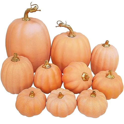 Winlyn 10 Pcs Assorted Artificial Orange Pumpkins Decorative Pumpkins Faux Light Orange Pumpkins Foam Pumpkins for Fall Harvest Autumn Wedding Thanksgiving Halloween Table Centerpiece Mantel Décor