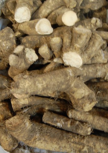 Horseradish Roots 1 pound,( USA Only,Can Not be shipped internationally) Ready For Planting or Preparing As Sauces or Dressings etc.