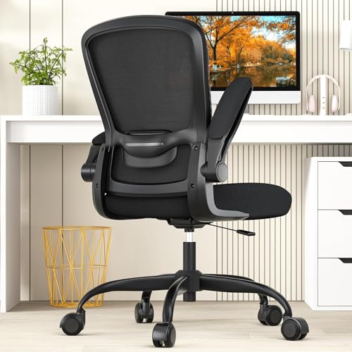 Office Chair, Ergonomic Desk Chair with Adjustable Lumbar Support, High Back Mesh Computer Chair with Flip-up Armrests-BIFMA Passed Task Chairs, Executive Chair for Home Office