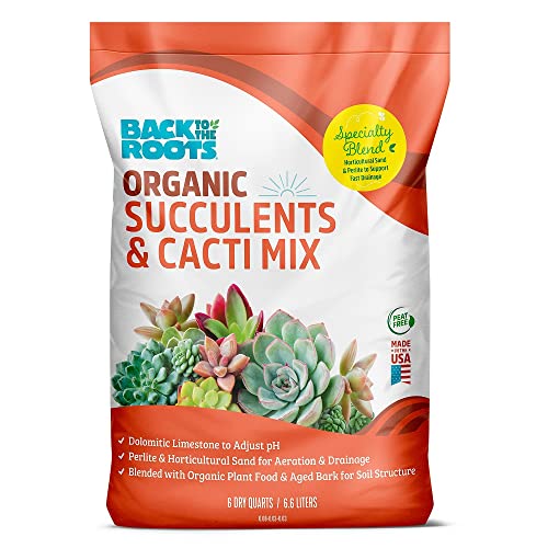 Back to the Roots 100% Organic Succulent & Cacti Mix (6 Quart) | Made in The USA | Premium Nutrition for Indoor and Outdoor Plants