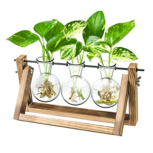Ivolador Desktop Propagation Station, Plant Terrarium, Plant Lover Gifts for Women for Hydroponics Plants Home Garden Wedding Decor (3 Bulbs)