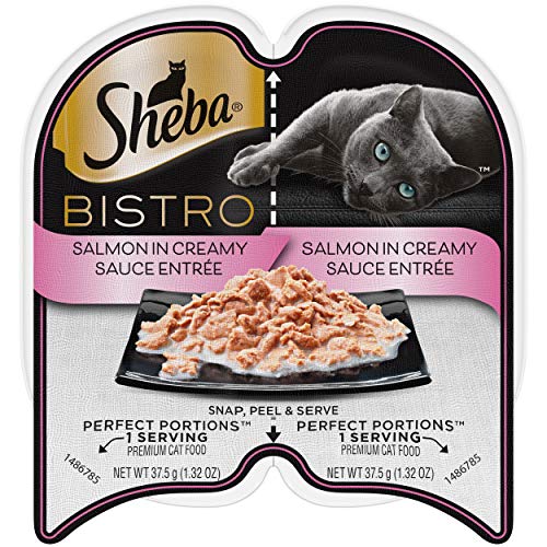 List of Top 10 Best what is the cat food brand in Detail