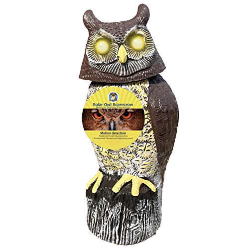 {updated} Top 10 Best Motion Activated Owl {guide & Reviews}