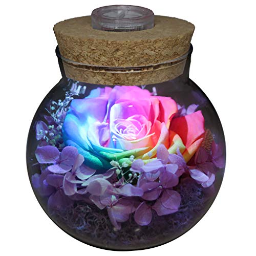 roliys Preserved Real Roses with Colorful Mood Light Wishing Bottle,Eternal Rose，Never Withered Flowers,for Bedroom Party Table Decor, Christmas Anniversary,Valentine's,Mother's Day, (Multi)