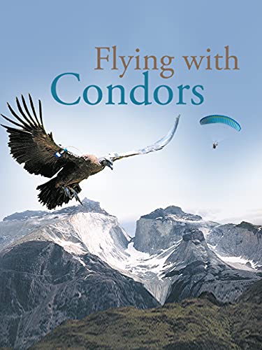 Flying with Condors